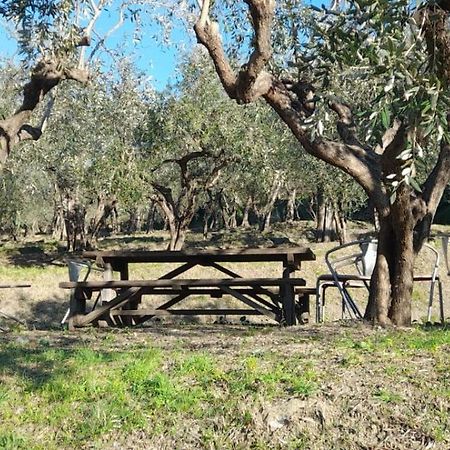 Agriturismo Cele Celle Ligure Exterior foto